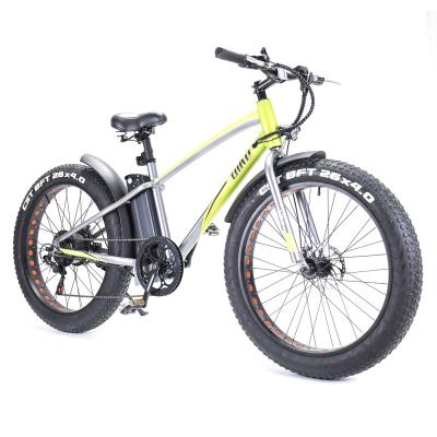 China Hot Selling Aluminum Alloy Stealth Lithium Battery Pedal Assisted Full Suspension Electric Bicycle Mountain Bike Electric Bike for sale