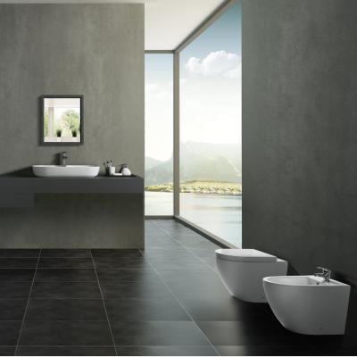 China Double-Flow European Style Wall Hung White Toilet Porcelain Bathroom Sink Vanity Set for sale