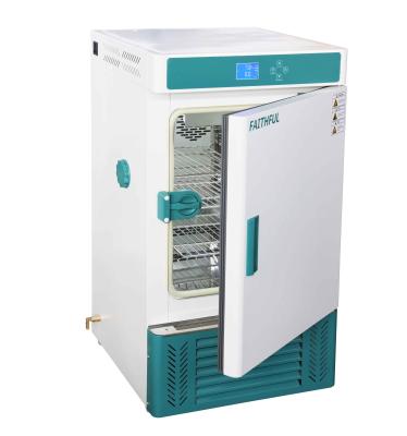 China SPX-250BIII Factory Refrigerated Laboratory Incubator /Cooling Incubator/BOD Automatic Incubator 250L SPX-250BIII for sale