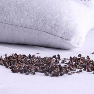 China 2021 Anti-Static Manufactured Sleep Pillow Hull 100% Organic Buckwheat Pillow With Pillow Cover for sale