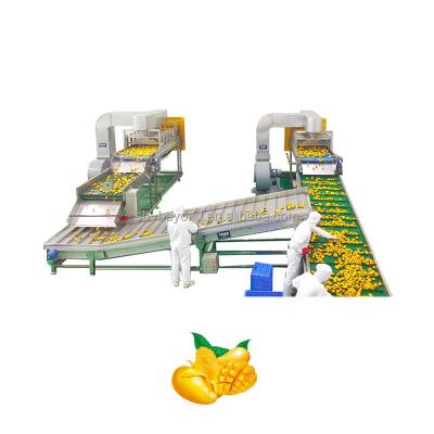 China Complete high efficiency juice plant to process natural fruits into juice apple/mango/orange/pineaple for sale