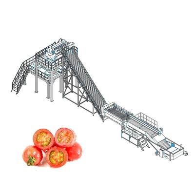 China Energy Saving Automaticm Tomato Ketchup Tomato Juice Production Line Making Machine Processing Plant Production Line for sale