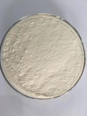 China Nitrifying Agent grey powder Sewage Treatment Chemical Farm Water Purification Ammonia Nitrogen Reduction for sale