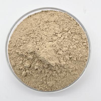 China Aerobic Agents Bacteria Grey Powder Wastewater Treatment BOD COD Ammonia Nitrogen Removal for sale