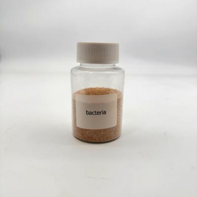 China Concentrated Brown Powder Bio Bacteria for Industrial Wastewater Treatment for sale