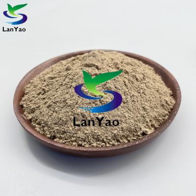 China Environmental Protection Microorganism Sewage Treating Bio Bacterial For Eliminating Sludge brown powder for sale