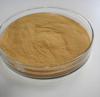 China Unleash Power Of PolyFerric Sulfate For Water Treatment for sale