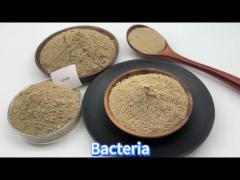 Water Treatment Bio Bacteria