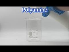polyamine