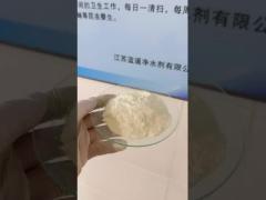 polyaluminum chloride white powder
