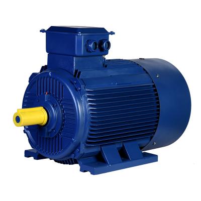 China YE3-315S-6P-75KW 990RPM Totally Enclosed AC Motor Totally Enclosed Three Phase Asynchronous Motor for sale