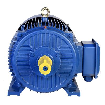 China 25HP YE2-180M-4P 18.5KW Asynchronous Motors Cast Iron Totally Enclosed Three Phase AC Asynchronous Motor for sale