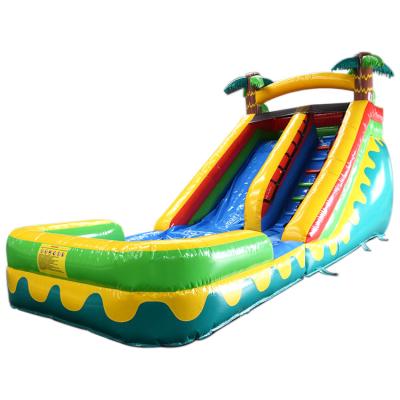 China Custom Commercial Indoor/Outdoor Tropical Inflatable Water Slide Slide For Sale for sale