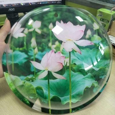 China Wholesale Viable Wall Mounted Plastic Aquarium Hemisphere Aquarium Acrylic for sale