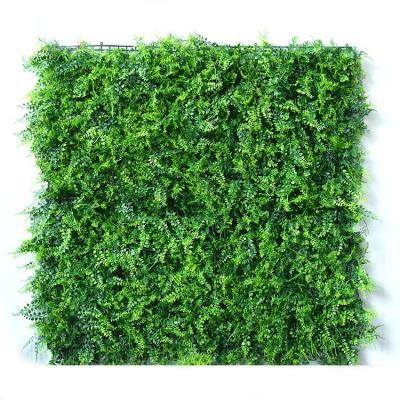 China 100*100CM Minimalist Artificial Boxwood Panels Fern Hedge Greenery Topiary Backdrop for Walls, Garden, Privacy Screen for sale