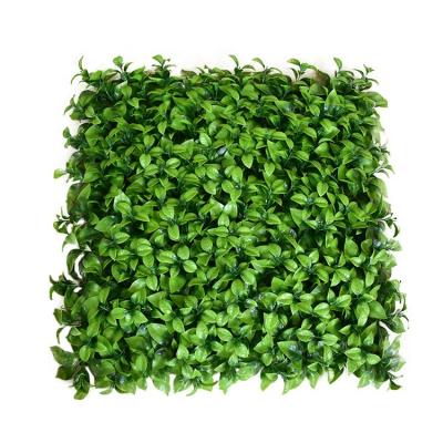 China Wholesale Durable 50*50cm Plastic Wall Boxwood Panels Faux Foliage Background For Wall Decoration for sale