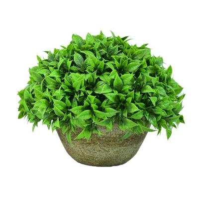 China Greenery Minimalist Warm White Pot Selling Boxwood Plants Artificial Bonsai For Home And Office Decor for sale