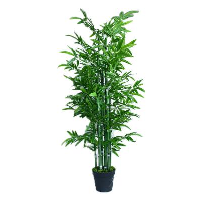 China Contemporary Artificial 150cm Bamboo Tree Plant Lucky Bamboo Bonsai Plant MY952 for sale