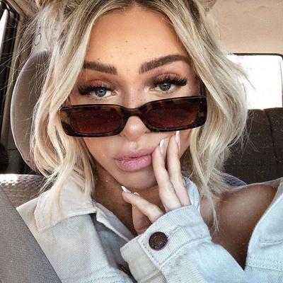 China Fashion Punk Sunglasses 2022 Wholesale Square Dropshipping Candy Color Frame Women Sunglasses 16123 Fashion Small New Driving Trendy Shades for sale