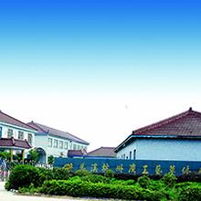 Verified China supplier - Cixi Hangzhouwan Craft And Weaving Factory