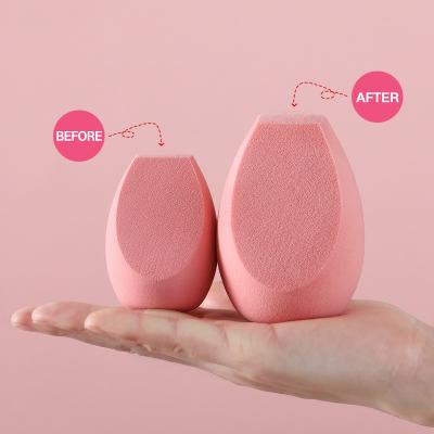 China Banfi Free Samples Soft High Quality Colored Cosmetic Oval Non-Latex Free Makeup Sponge In Cosmetic Puff With PVC Case for sale