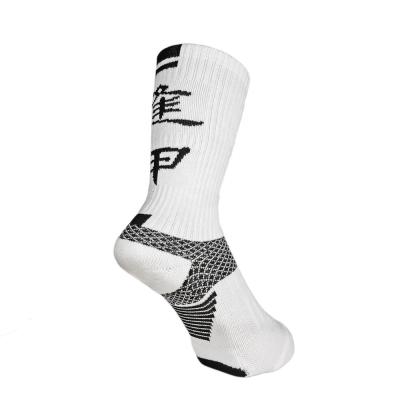 China Antibacterial Antibacterial Custom Padded White Cotton Running Socks For Men Women for sale