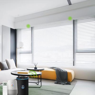 China Shangri La Triple Silhouette CE Eco-friendly Certificate Wire Electric Roller Shades Window Blinds for sale