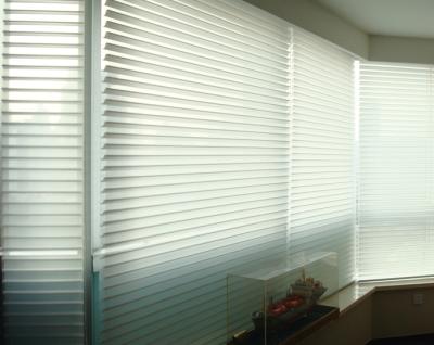 China Eco-friendly Unique Design Manual Blackout Roller Chain Shades Shangri La La Bright White Shades for sale