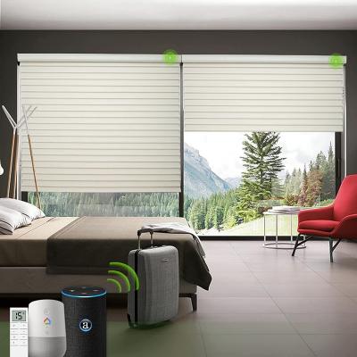 China Hot Selling Eco-friendly Motorized Shade Shangri La Window Shade Sheer Shade Eco-friendly for sale