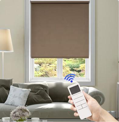 China Smart Size Casual Rechargeable Electric Motor Shades Large Roller Blinds for sale