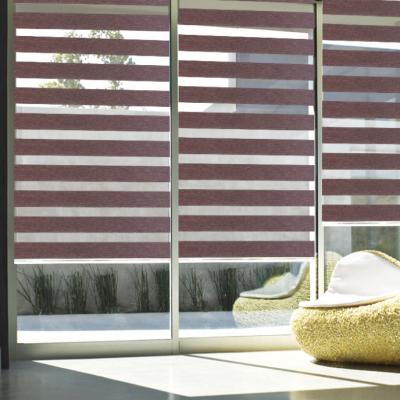 China Blackout Windows China Headrail Blinds Zebra Manufacturer for sale