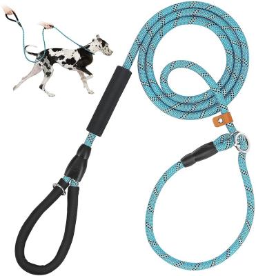 China Double 2 Way Nylon Multiple Handle Dog Pet Leash Dog Walking Leashes Slip Rope Lead for sale