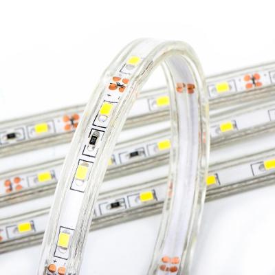 China Residential Outdoor AC LED Rope Strip Light With White Color 5050 Waterproof 50m/roll for sale