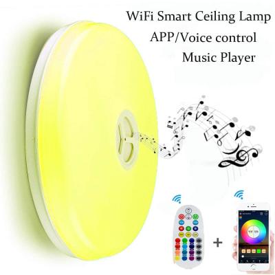 China Modern Smart Ceiling Light 24W Multi Color Changing WiFi LED Ceiling Light Compatible With Alexa for sale