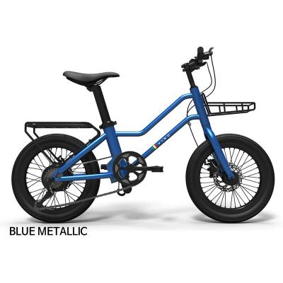 China Magnesium Alloy Naicisports Nova Electric Bicycle 36V Electric City Bike 250w for sale