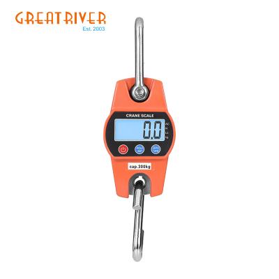 China High Quality Backlight Display Weight Function 300kg LCD Crane Weighting Scale Electronic Balance Overweight Scale With Zero Tare Function for sale