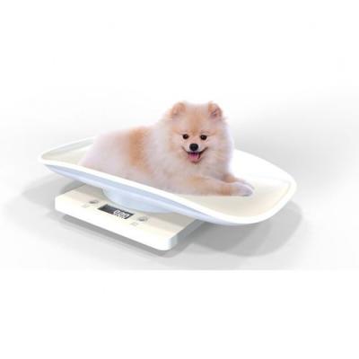 China Pet Weighting Platform Scale 100kg For Pet Hospital for sale