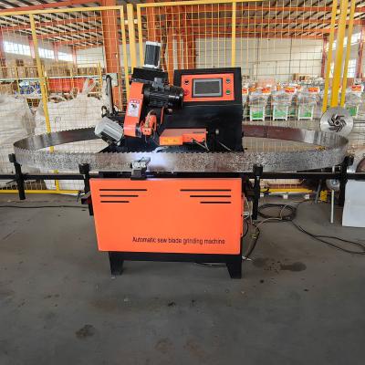 China Building Material Shops PM1160 Automatic Grinder Machine for Woodworking Band Saw Blade for sale