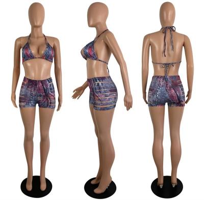 China Breathable 2022 Fashion Women Beach Sexy Printed Summer Bikini Bra Top Hole Shorts 2 Piece Sets for sale