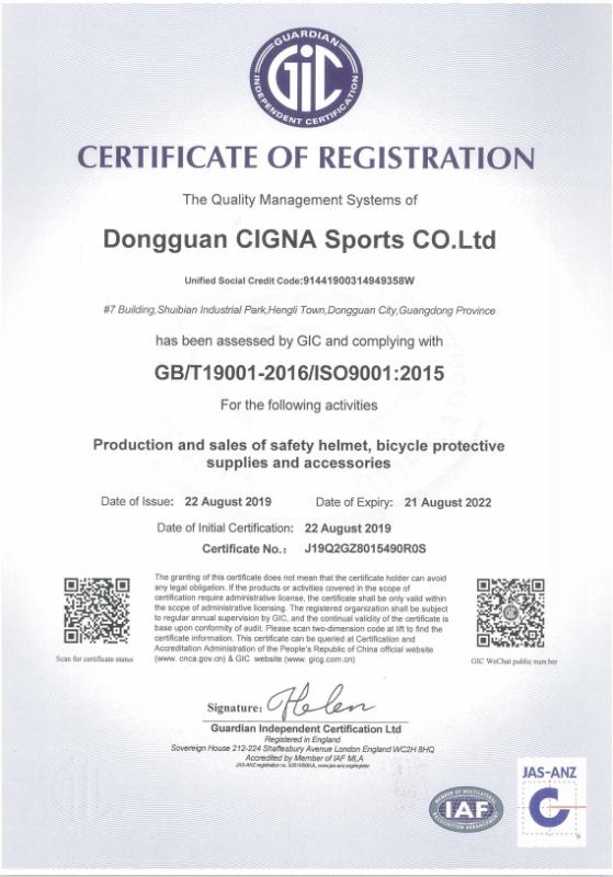 ISO9001 - Guangdong Xinnuo Sporting Goods Co., Ltd.