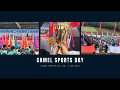 Competition and Camaraderie: Camel Group Sports Day Brings Teams Together