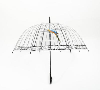 China Traditional Design Printing Transparent Large Full Body Dome Shape Apollo Sports POE Umbrella With J Hooked Handle for sale