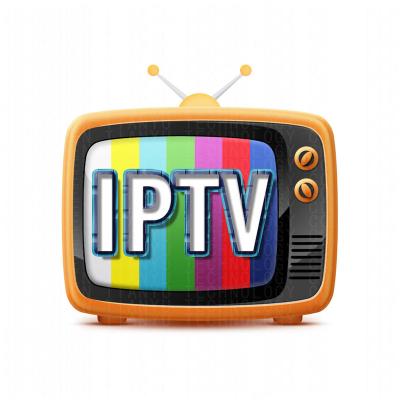 China IPTV Iptv Subscription Xxx Reseller For 12 Months Code Android Box Trial Box for sale