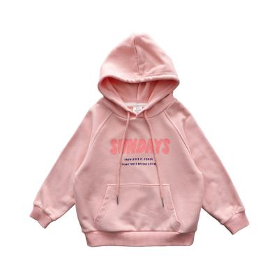 China Anti-Wrinkle Kids Tales Cotton Plain Hoodie Blank Pullover Sweatshirt Sheared Kids Boys Girls Baby Hoodies for sale