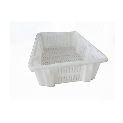 China Mesh Nup-to-Date Styling Plastic Seafood Air Crate For Fish for sale