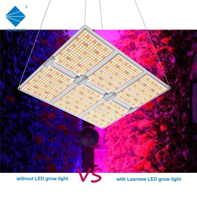 China Dimming Control Commercial Horticulture 281b lm301b lm301h 3500K 5500K 660nm Replace Hps 720w 200w 400w Sunlight Led To Grow Light Boards for sale