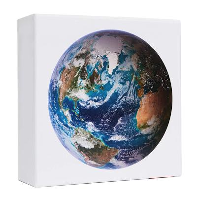 China Cartoon Toy Customize Your 1000 CMYK Printing 3D Round Earth Puzzle for Education for sale