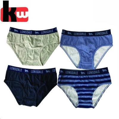 China Fancy Antibacterial Cute Teen Boys Kids Transparent Thong Brief Underwear for sale