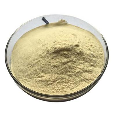 China Yellow Non GMO Vegetable Soy Peptone For Industrial Fermentation for sale