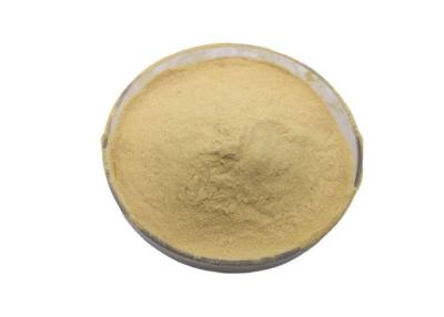 China Meat Free Non GMO Soy Peptone Organic Nitrogen Source For Industrial Fermentation for sale